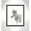 «Savannah Zebra», art encadré-47566039-47533408