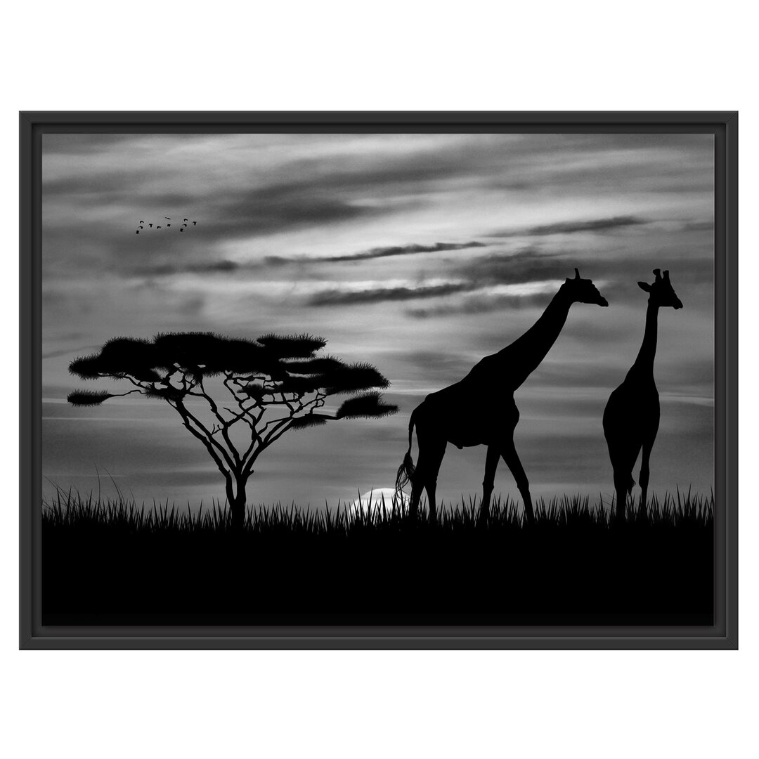 Gerahmtes Poster African Giraffes at Sunset