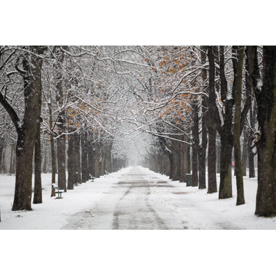 Alley In Winter With Snow by Amriphoto - Wrapped Canvas Print