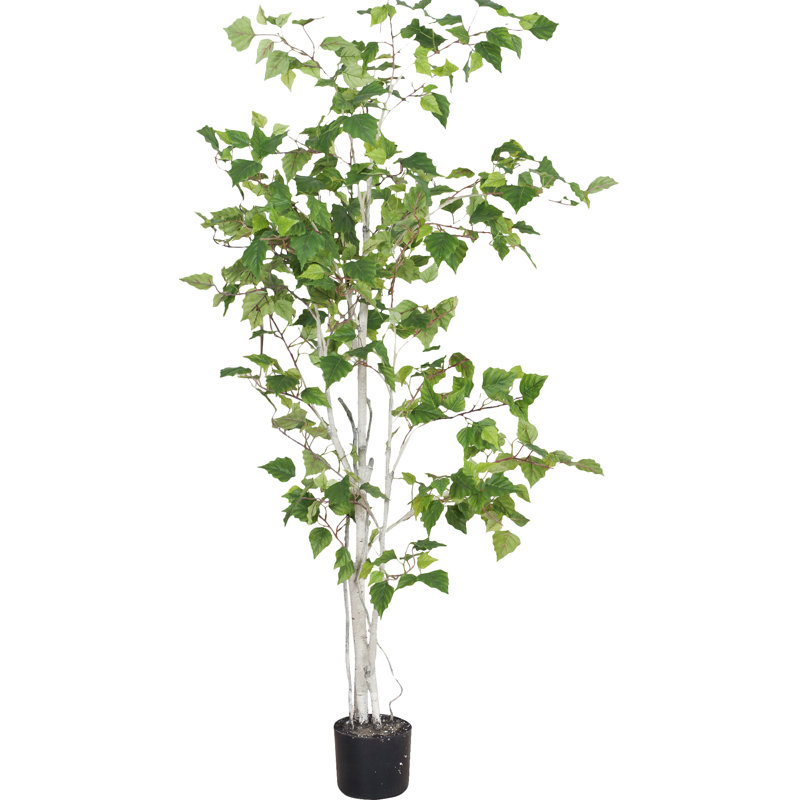 152.4 cm H Faux Birch Tree Plant in Resin Planter