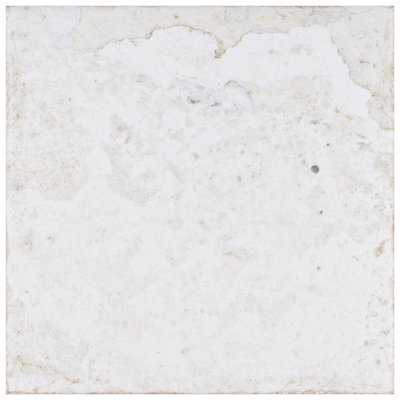 Aevum 7-7/8 in. x 7-7/8 in. Ceramic Wall Tile