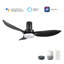 Ventilateur de plafond intelligent avec télécommande Ryna, ensemble d'éclairage inclus, fonctionne avec l'assistant Google et Amazon Alexa, raccourci Siri.-1292363990-1292363994-1292363993