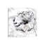 «Marble Flower II» par Nan - estampe numérique sur toile tendue avec châssis-31291231-73437827-73437822