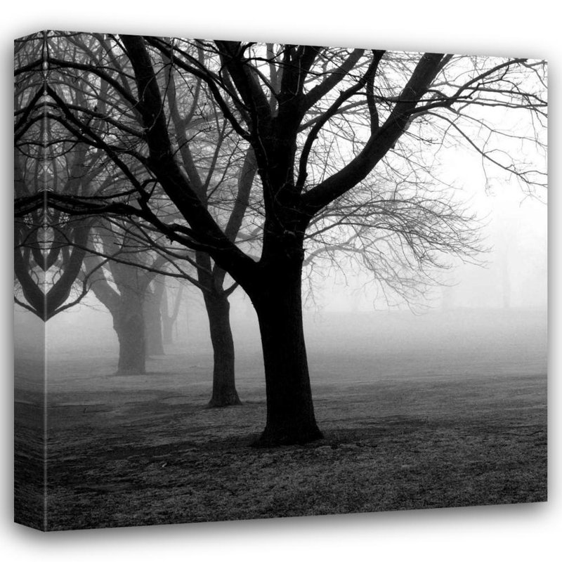 Art sur toile tendue par Millinc Photo Pins Studio Gallery: Trees, H 15 po x l 15 po