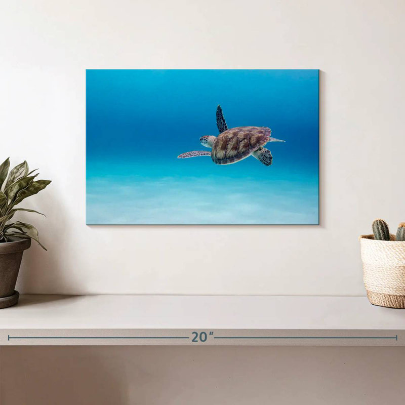 Crowle Adventurous Sea Turtle, 8" H x 12" W