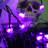 3.94'' LED String Lights