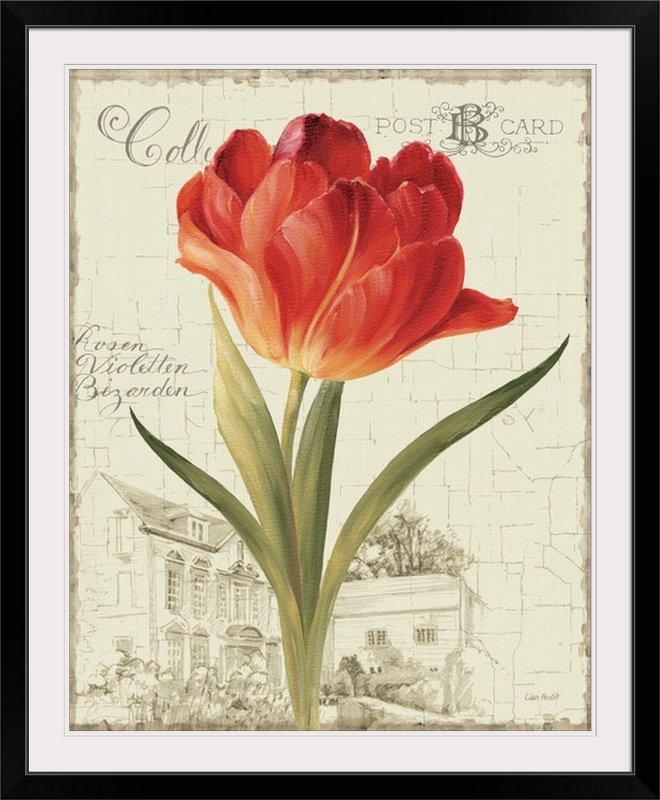 « jardin view iii red tulip » par lisa audit, impression, Cadre noir, H 28 po x l 24 po x P 1 po