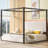 King Size Upholstered Canopy Bed, Platform Bed Frame with Velvet Headboard & Metal Frame, 4-Poster Canopy Bed for Romantic & Modern Bedroom, No Box Spring Needed-681049974-681049976