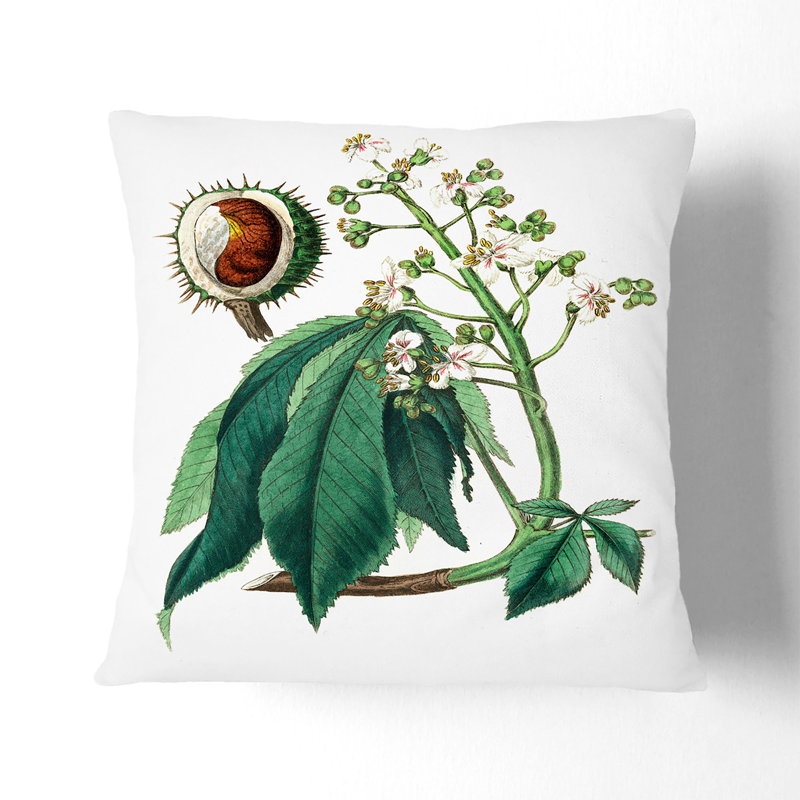 European Horse-Chestnut Tree Illustration Cushion with Filling, 40cm H x 40cm W x 15cm D