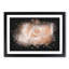 Light Pink Rose Paint Splash - Picture Frame Graphic Art-56865507-56865508