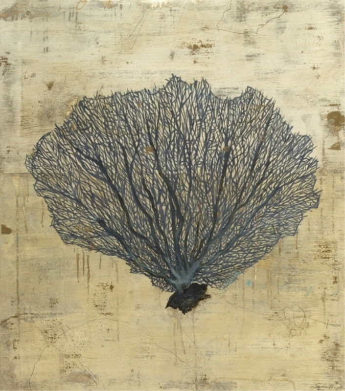 Chelsea Art Studio Sea Fan by Sarah Atkinson - Wrapped Canvas Graphic ...