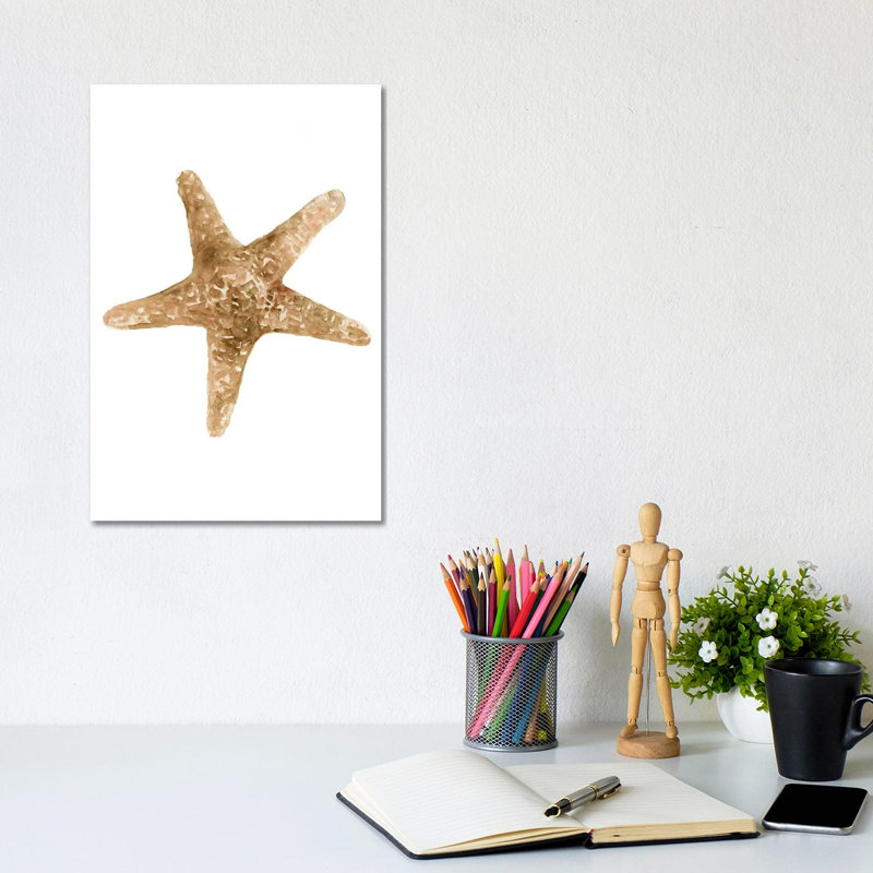 Neutral Shell Collection III by Stellar Design Studio - Gallery-Wrapped Canvas Giclée on Canvas, 20.32 cm H x 30.48 cm W