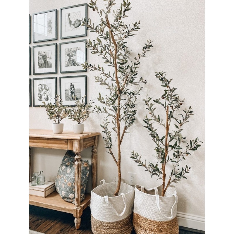 Olive Tree with Vase