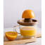 BIDKhome Manual Citrus Juicer