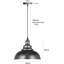1 - Light Dome Pendant-706373403