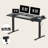 Adjustable Standing Desk, Whole-Piece Desktop-1701964244-1618947437