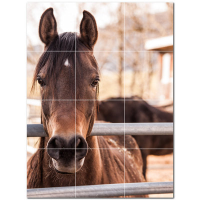 Horse Photo 12'' x 12'' Satin Ceramic Decorative Mural