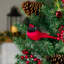 Ensemble de 2 décorations de Noël à attacher Cardinal Birds, 6 po, rouge