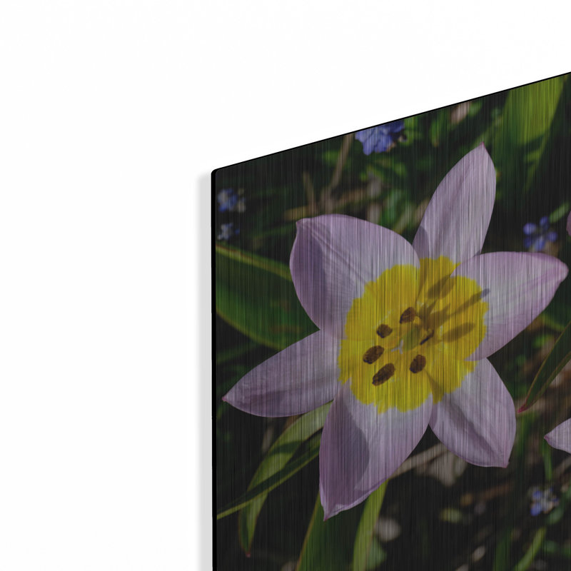 Winston Porter «Flowers Iii» par Epic Portfolio, art mural en métal, H 12 po x l 16 po