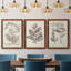 Midnight Tulip III - Ensemble de 3 cadres photo sur toile-856270381-856270416
