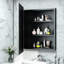 Armoire à pharmacie avec miroir et 3 tablettes Cyrille-2003309848-2003309847