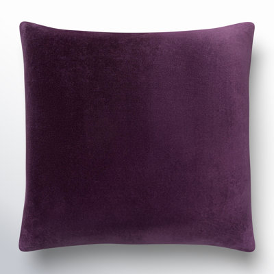 Denny Velvet Throw Pillow 