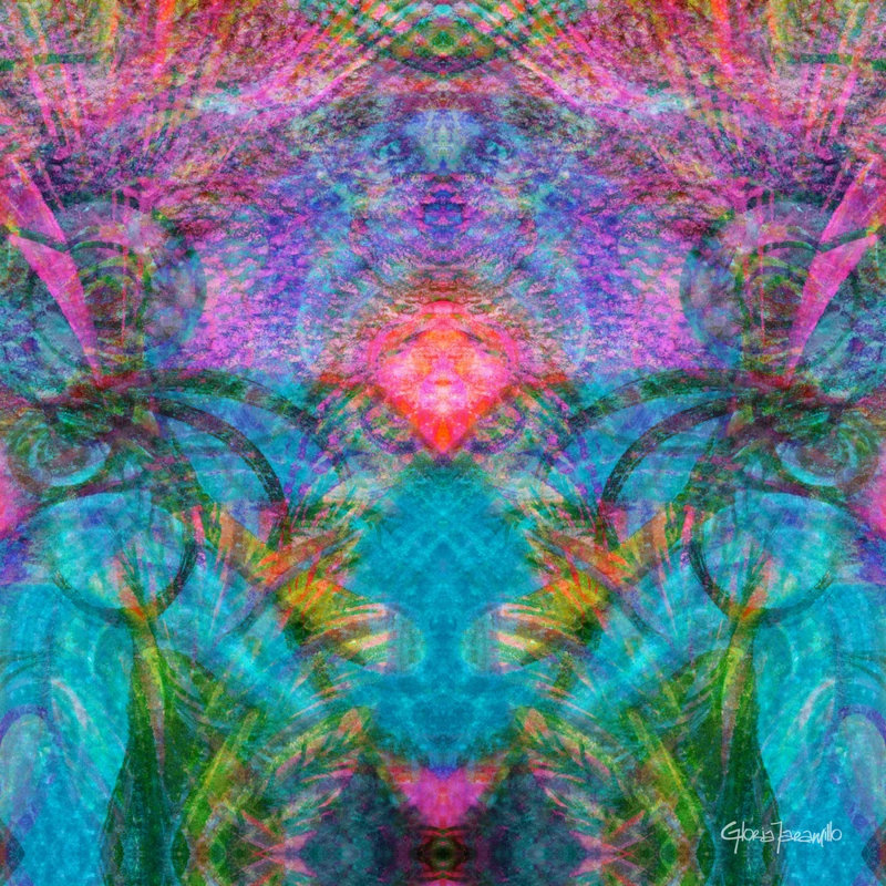 Orbes 5