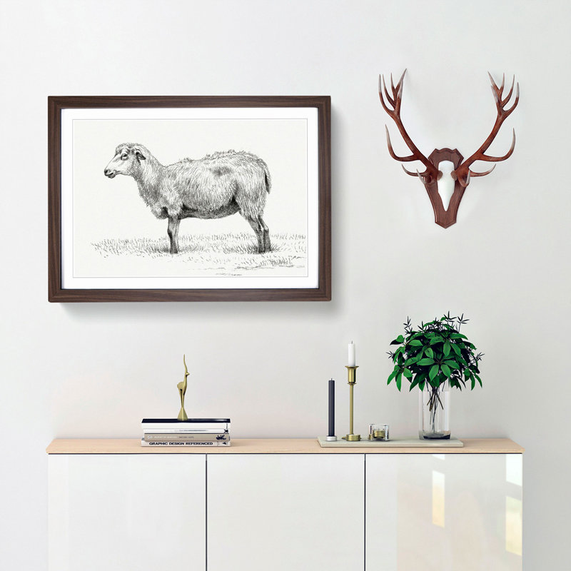 Standing Sheep by Jean Bernard - Framed Print, 48cm H x 65cm W x 2cm D, Walnut Framed