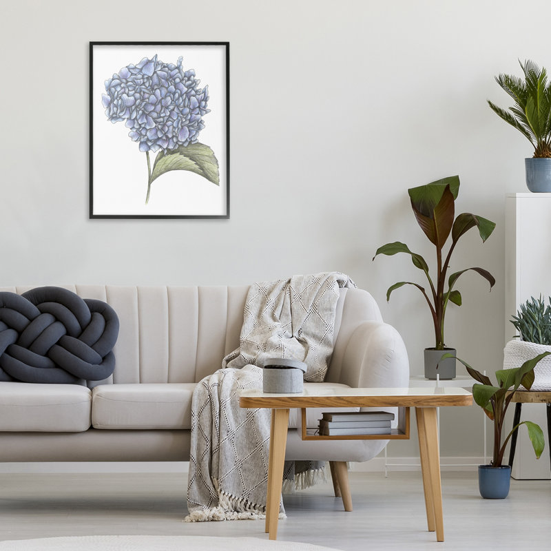 Hydrangée, croquis, giclée encadrée, conception par Cecilia Battaini, H 20 po x l 16 po, Giclée encadrée noir minuit