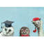 Brainy Birds - Wrapped Canvas Painting-34960226