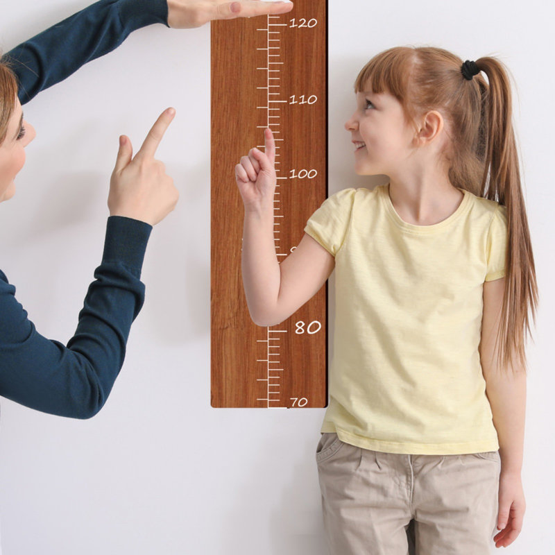 Style Wooden Kids Growth Chart Ruler For Boys And
