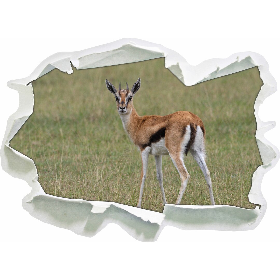 Prächtige Gazelle auf Wiese Wandaufkleber