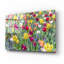 "Tulipes Kuekenhaus I" par Richard Silver-1713161094