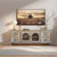 Meuble de rangement pour téléviseur et centres de divertissement, maison de campagne en bois aggloméré 60 po