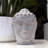 Treadwell Religious & Spiritual Bust