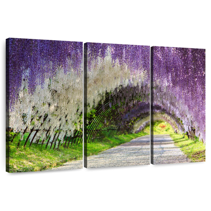 Harnek Kitakyushu Wisteria Tunnel, H 36 po x l 57 po