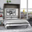 Lit Osterman-358173418-370742011