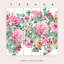 Laura Ashley Aveline Rose Mural