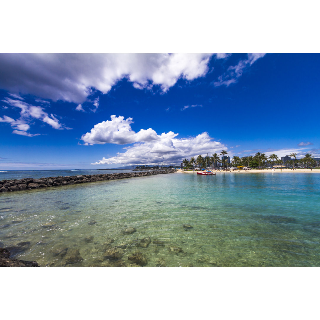 Palmen am Strand von Waikiki - Leinwandbild