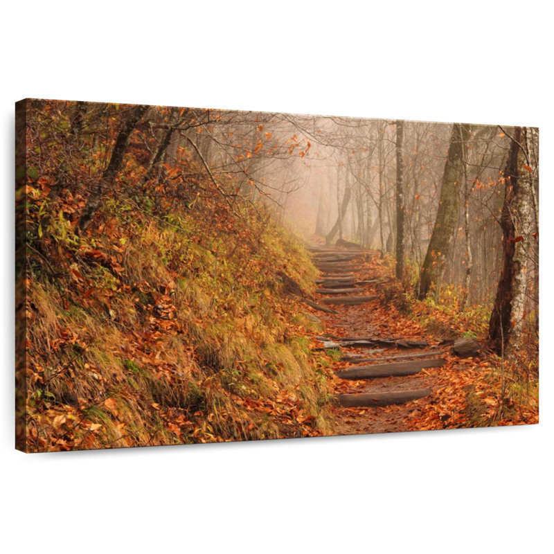 Alvord Misty Autumn Appalachian Trail, 16" H x 24" W