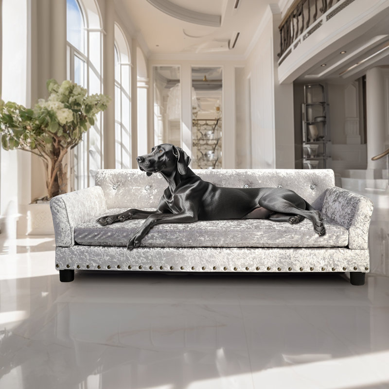 Canapé pour chien, L 47,2 po x P 29 po x H 16 po