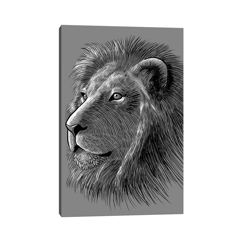 Sketch Lion by Alberto Perez - Wrapped Canvas Print, 66.04 cm H x 45.72 cm W
