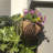Erilyn Handmade Metal Hanging Planter