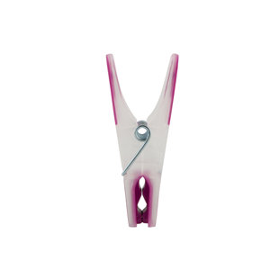 Plastic Clothes Pins (Set of 24)