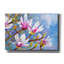 Art mural sur toile Winston Porter «Magnolia Marvel» par Annelein Beukenkamp-1101369467