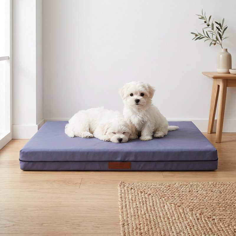 Lit pour chien CalmNest, 21.7