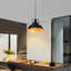 Luminaire suspendu unique / remarquable