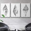 Ensemble de 3 pièces encadrées sur toile Quiet Conch I-50057868-50057869