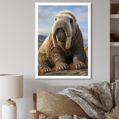 " Walrus Majestic Ivory "