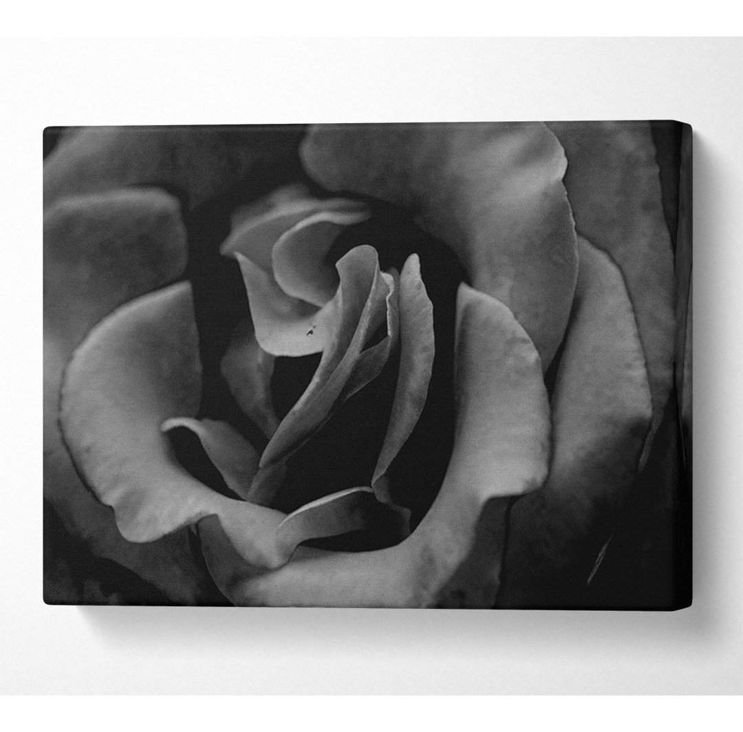 Rose B N W - Kunstdrucke auf Segeltuch